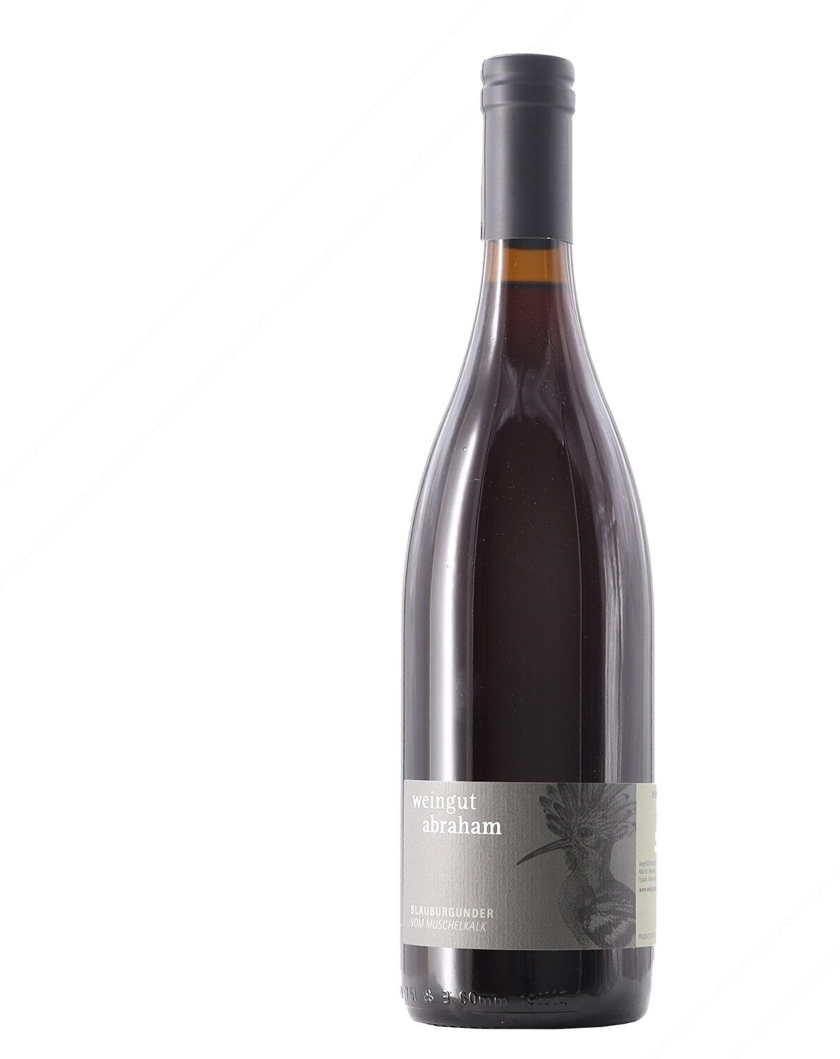 Blauburgunder vom Muschelkalk