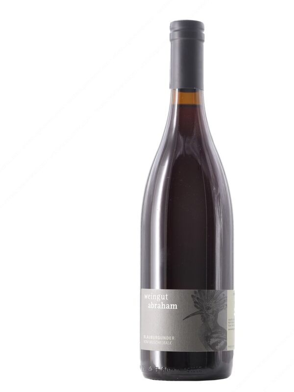 Blauburgunder vom Muschelkalk