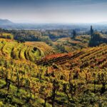 Friuli, wijngebied in Italie, de regio van Conte d’Attimis Maniago